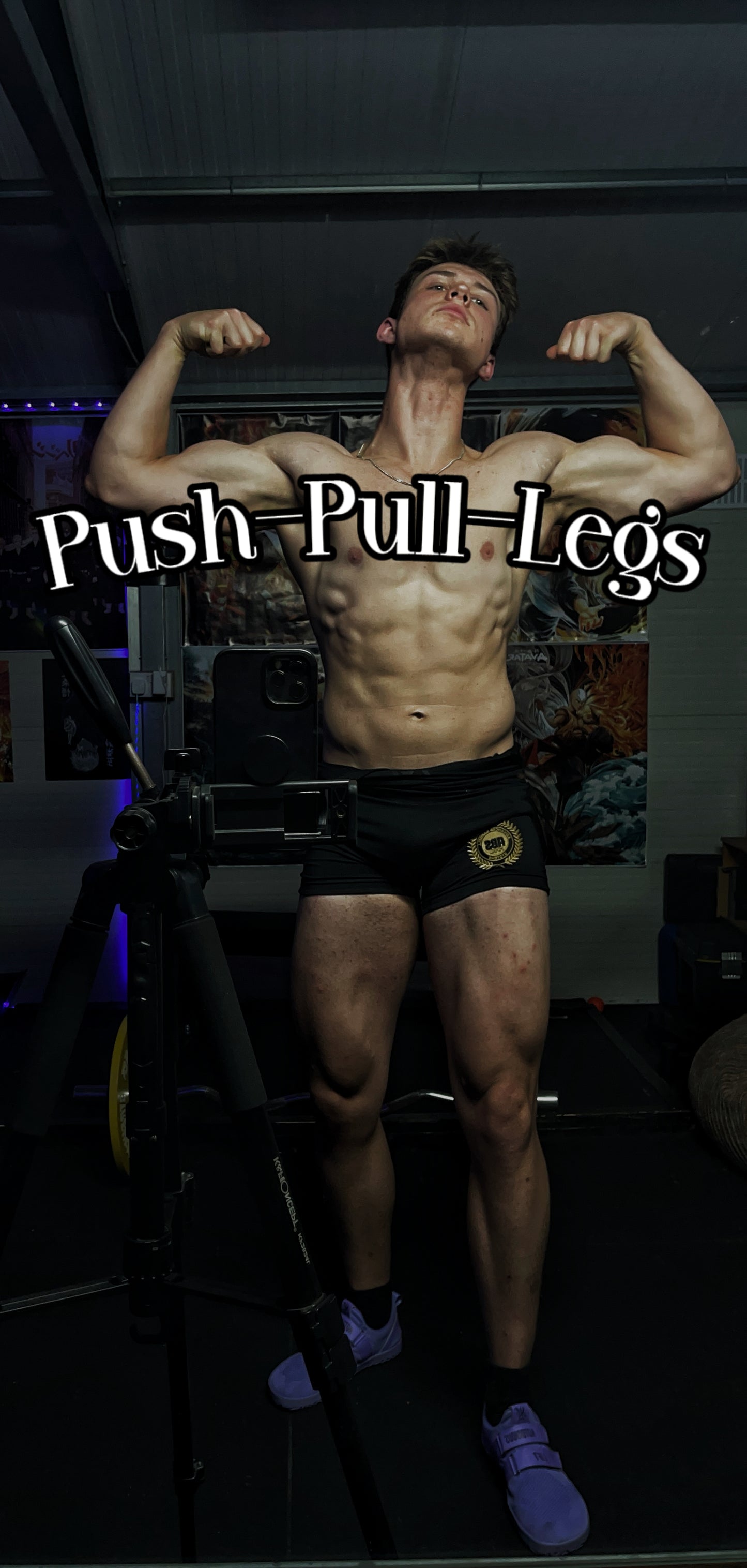 Ultimate Push Pull Legs
